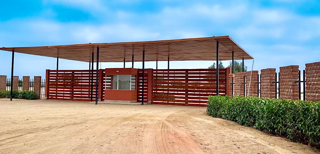 Lote 12