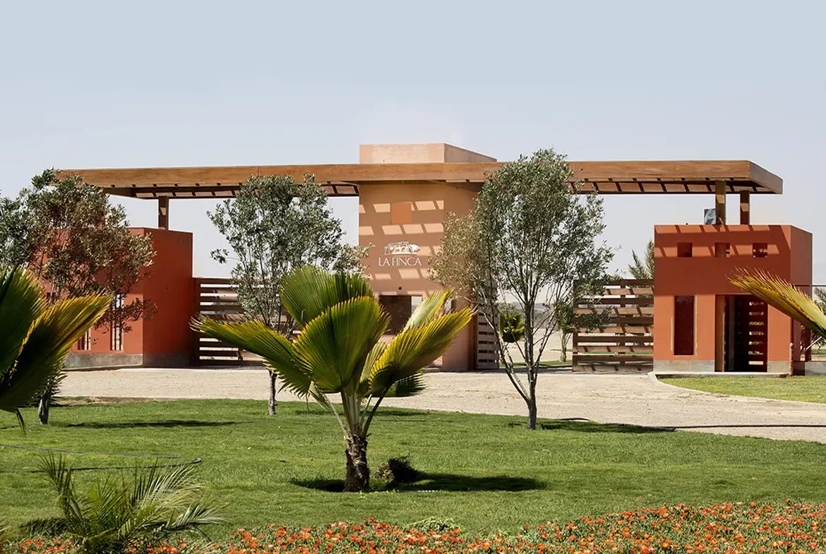 Lote 18