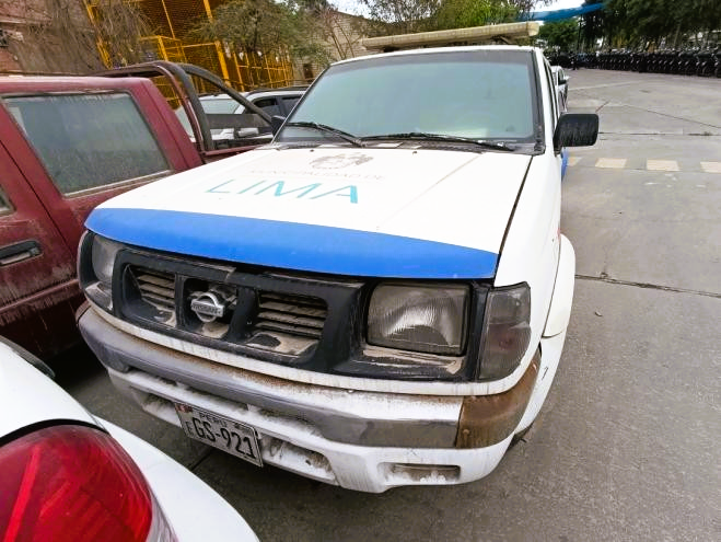 Lote 19